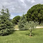 Calma Istra Nedeščina