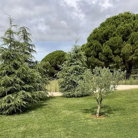 Calma Istra Nedescina